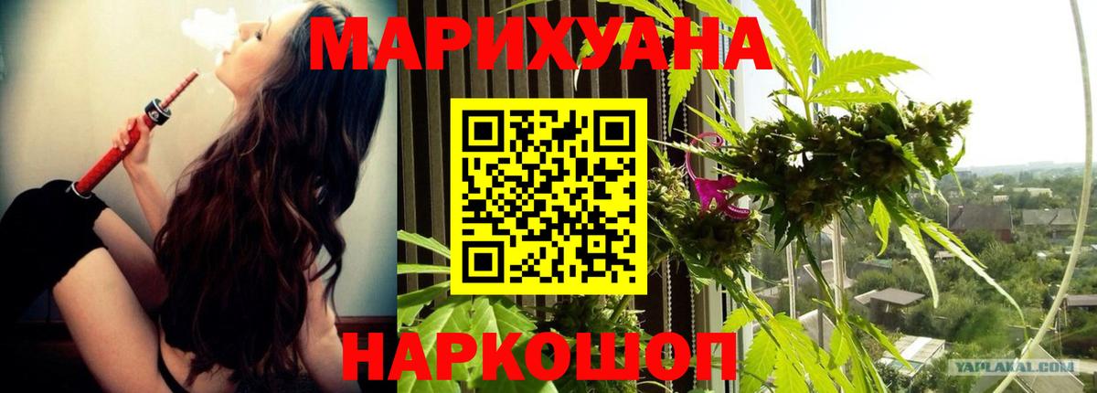 Бошки марихуана THC 21% Сочи